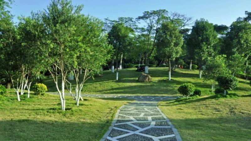 军棋暗棋玩法怎么玩？从布阵到判定的完整规则解析